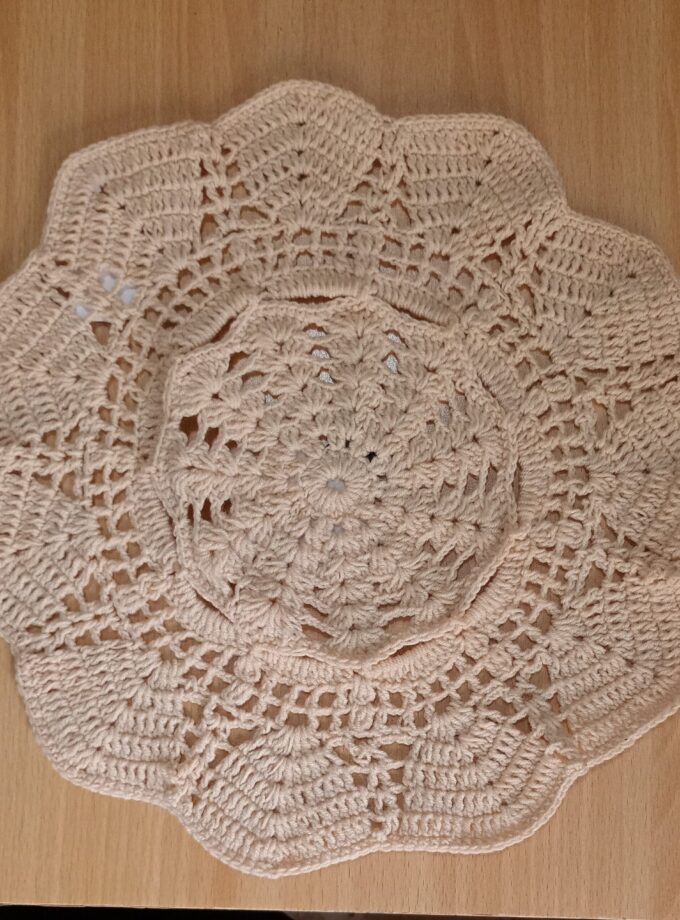 Dish Coaster